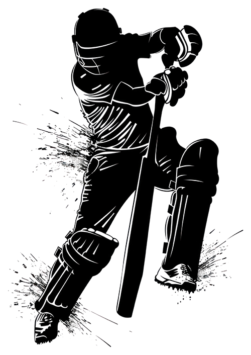 Cricket illustration